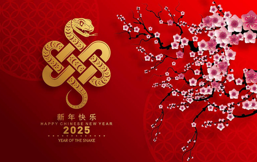 إشعار مهرجان الربيع الصيني لمصنع جونلي